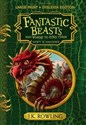 Fantastic Beasts and Where to Find Them Newt Scamander