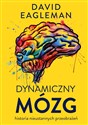 Dynamiczny mózg Historia nieustannych przeobrażeń - David Eagleman