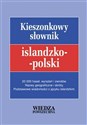 Słownik kieszonkowy islandzko-polski - Viktor Mandrik