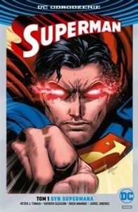 Superman T.1 Syn Supermana (srebrna)