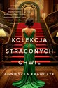 Kolekcja straconych chwil - Agnieszka Krawczyk