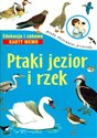 Ptaki jezior i rzek edukacja i zabawa karty memo