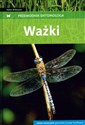 Ważki