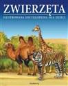 Zwierzęta Ilustrowana encyklopedia dla dzieci Encyklopedia dla dzieci w wieku 7-10 lat - Opracowanie Zbiorowe