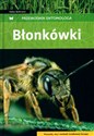 Błonkówki Przewodnik entomologa - Bellmann Heiko
