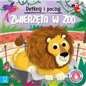 Dotknij i poczuj. Zwierzęta w zoo. Książeczka sensoryczna - Grażyna Wasilewicz