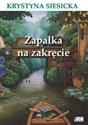 Zapałka na zakręcie