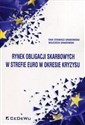 Rynek obligacji skarbowych w strefie euro w okresie kryzysu - Ewa Stawasz-Grabowska, Wojciech Grabowski