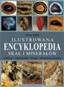 Ilustrowana encyklopedia skał i minerałów - Jerzy Żaba