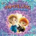 [Audiobook] Pampiludki i tajemnice wiary