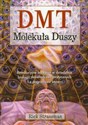 DMT Molekuła Duszy Rewolucyjne badania w dziedzinie biologii doświadczeń mistycznych i z pogranicza śmierci - Rick Strassman