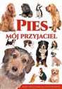 Pies mój przyjaciel