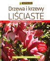 Drzewa i krzewy liściaste - Katarzyna Łazucka-Cegłowska, Maciej Mynett