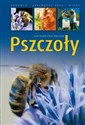 Pszczoły