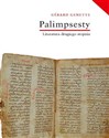 Palimpsesty Literatura drugiego stopnia