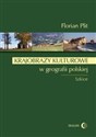 Krajobrazy kulturowe w geografii polskiej Szkice - Florian Plit