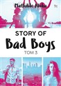 Story of Bad Boys Tom 3 - Mathilde Aloha