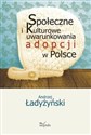 Społeczne i kulturowe uwarunkowania adopcji w Polsce