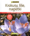 Krokusy, lilie, nagietki Katalog roślin cebulowych i jednorocznych