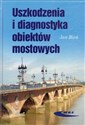 Uszkodzenia i diagnostyka obiektów mostowych - Jan Bień