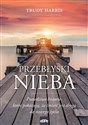 Przebłyski nieba Prawdziwe historie, które pokazują, że śmierć jest drogą do nowego życia