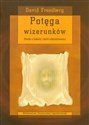 Potęga wizerunków Studia z historii i teorii oddziaływania