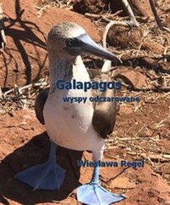 Galapagos - wyspy odczarowane - Księgarnia UK