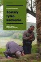 Zostały tylko kamienie Akcja Wisła: wygnanie i powroty - Krzysztof Potaczała