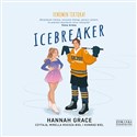 [Audiobook] Icebreaker