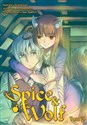 Spice and Wolf. Tom 13 