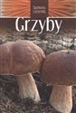 Grzyby