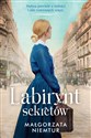 Labirynt sekretów - Małgorzata Niemtur