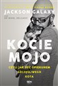 Kocie mojo czyli jak być opiekunem szczęśliwego kota