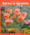 Barwy w ogrodzie Pomysły, inspiracje, sekrety - Bogdan Plomin