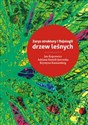 Zarys struktury i fizjologii drzew leśnych - Jan Kopcewicz, Adriana Szmidt-Jaworska, Krystyna Kannenberg