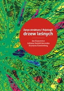 Zarys struktury i fizjologii drzew leśnych - Księgarnia UK