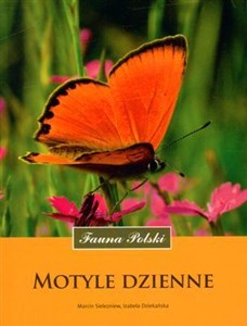 Motyle dzienne - Księgarnia UK