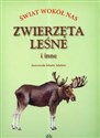 Zwierzęta leśne