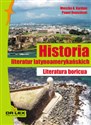 Historia literatur latynoamerykańskich Literatura boricua - Mieszko A Kardyni, Paweł Rogoziński