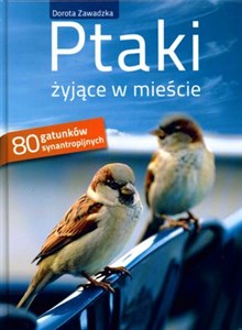 Ptaki żyjące w mieście 80 gatunków synantropijnych