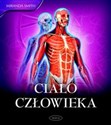 Ciało człowieka