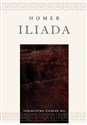 Iliada - Homer