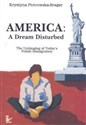 America A Dream Disturbed - Krystyna Piotrowska-Breger