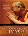 Medytacja nad naturą umysłu - Lama Dalai, Peljor Lhundrub Khonton, Ignacio Cabezon Jose