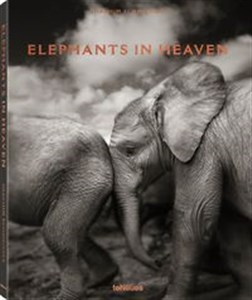 Elephants in Heaven  - Księgarnia Niemcy (DE)
