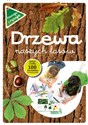 Drzewa naszych lasów część 1