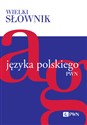 Wielki słownik języka polskiego Tom 1 A-G - Opracowanie Zbiorowe