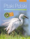 Ptaki Polski Encyklopedia ilustrowana - Andrzej G. Kruszewicz