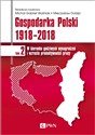 Gospodarka Polski 1918-2018 W kierunku godziwych wynagrodzeń i wzrostu produktywności pracy. Tom 2 - Michał Gabriel Woźniak, Mieczysław Dobija