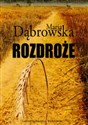 Rozdroże